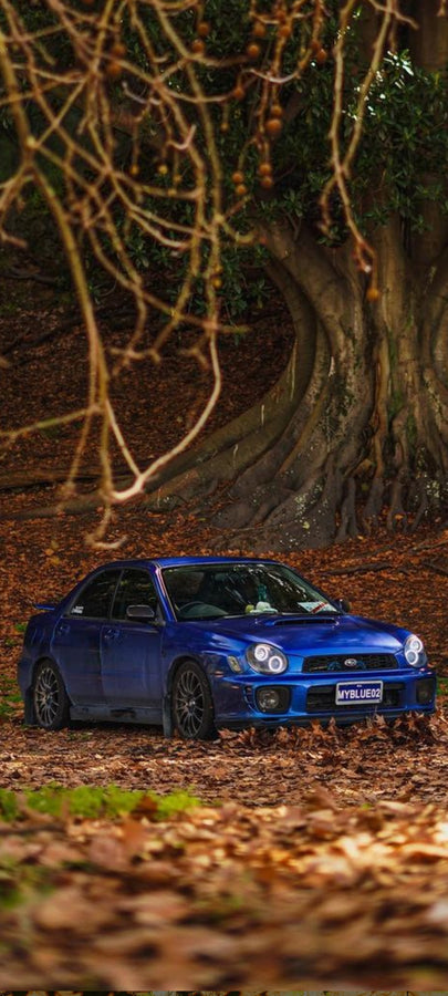 Automotive LED lighting for all vehicle types