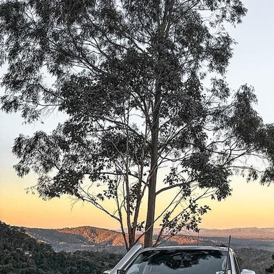 Nissan Navara D23 NP300 custom headlights 2015 - onwards